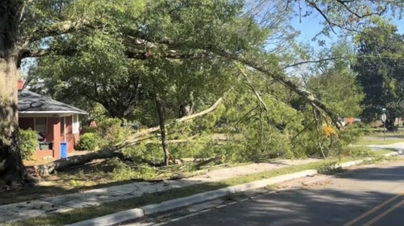 A large fallen tree across a residential property in Fayetteville, North Carolina